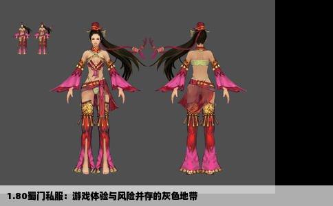 1.80蜀门私服：游戏体验与风险并存的灰色地带